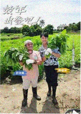 美食综艺